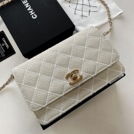 Chanel WOC Classic Fortune Wallet on Chain (Classic Lock)